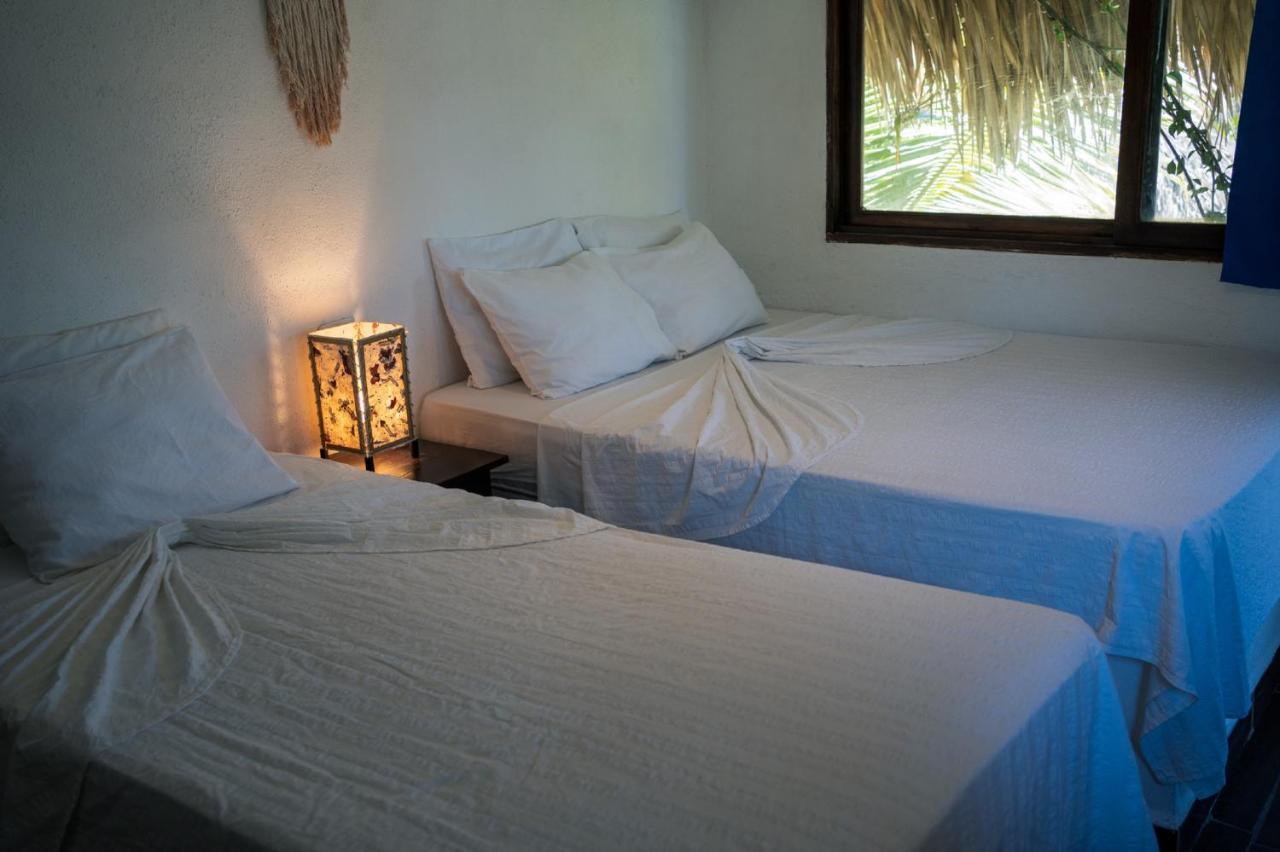 Marbella Eco Lodge مونتيريكو المظهر الخارجي الصورة