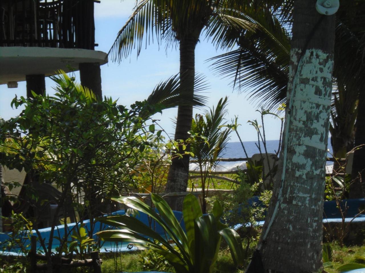 Marbella Eco Lodge مونتيريكو المظهر الخارجي الصورة