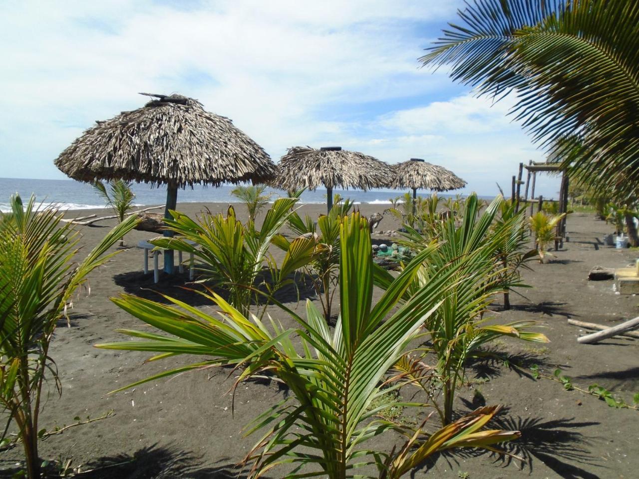 Marbella Eco Lodge مونتيريكو المظهر الخارجي الصورة